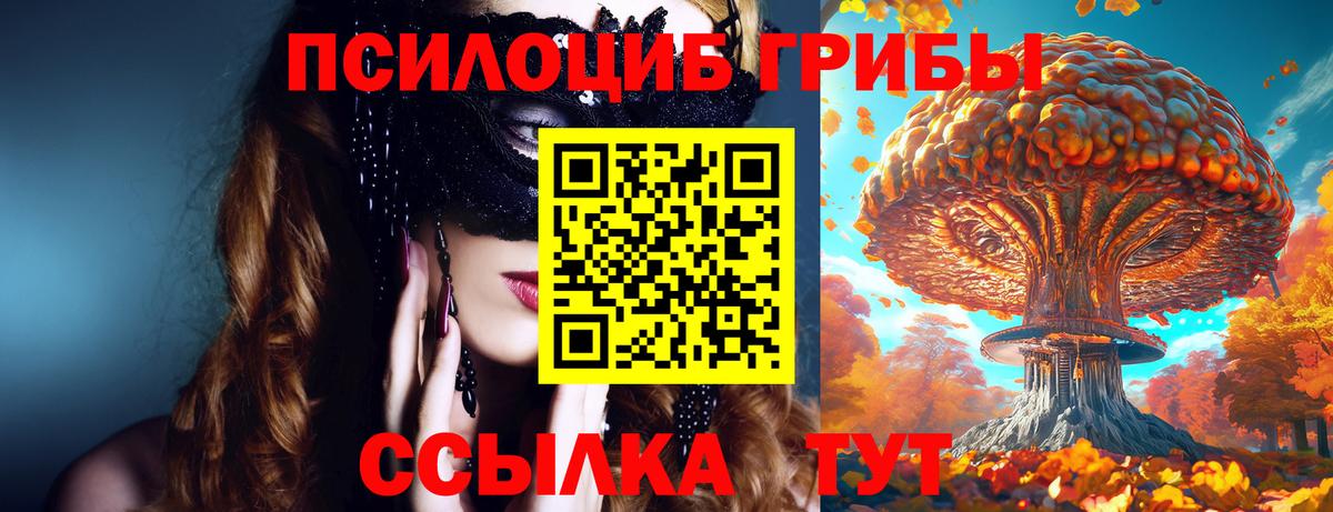 Галлюциногенные грибы GOLDEN TEACHER Кировск